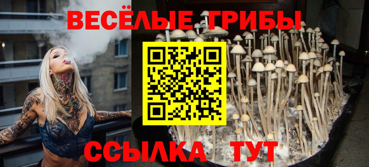 Галлюциногенные грибы GOLDEN TEACHER  Вход с VPN  Кашира 