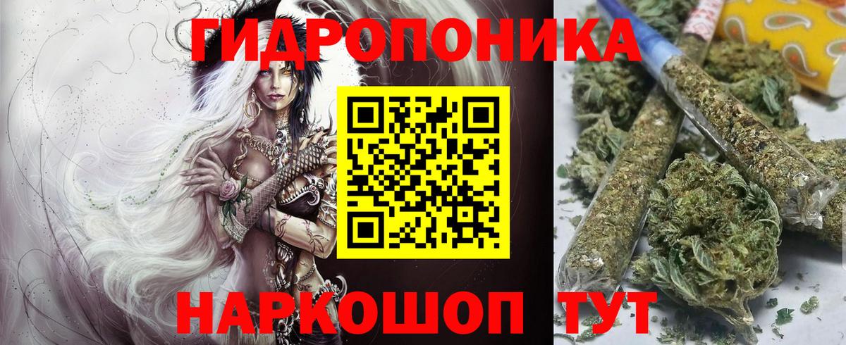 Канабис марихуана  Вход с VPN  Конопля Bruce Banner  Канабис White Widow  Кашира 